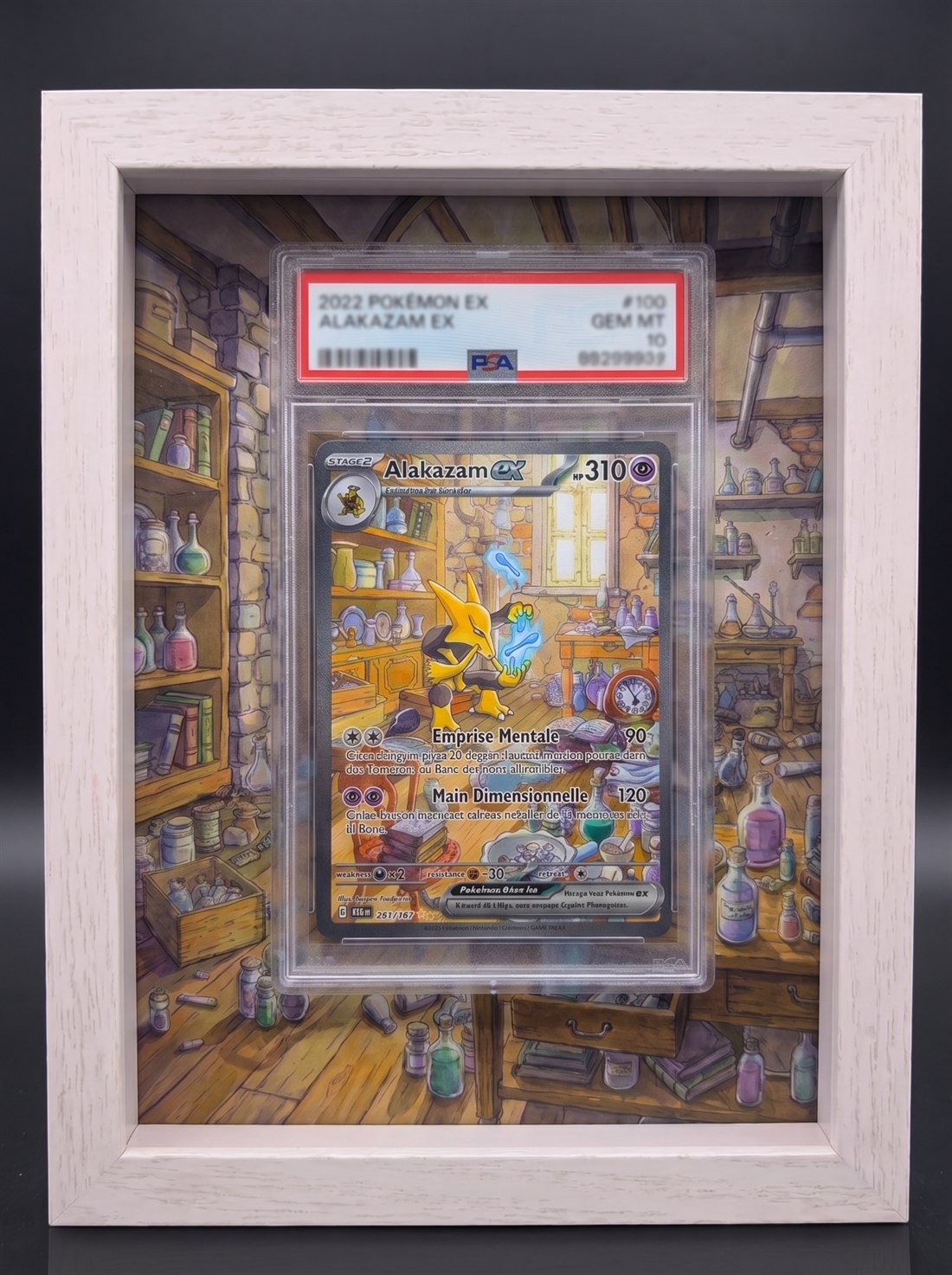 Cadre immersif 13 × 18 cm — Alakazam