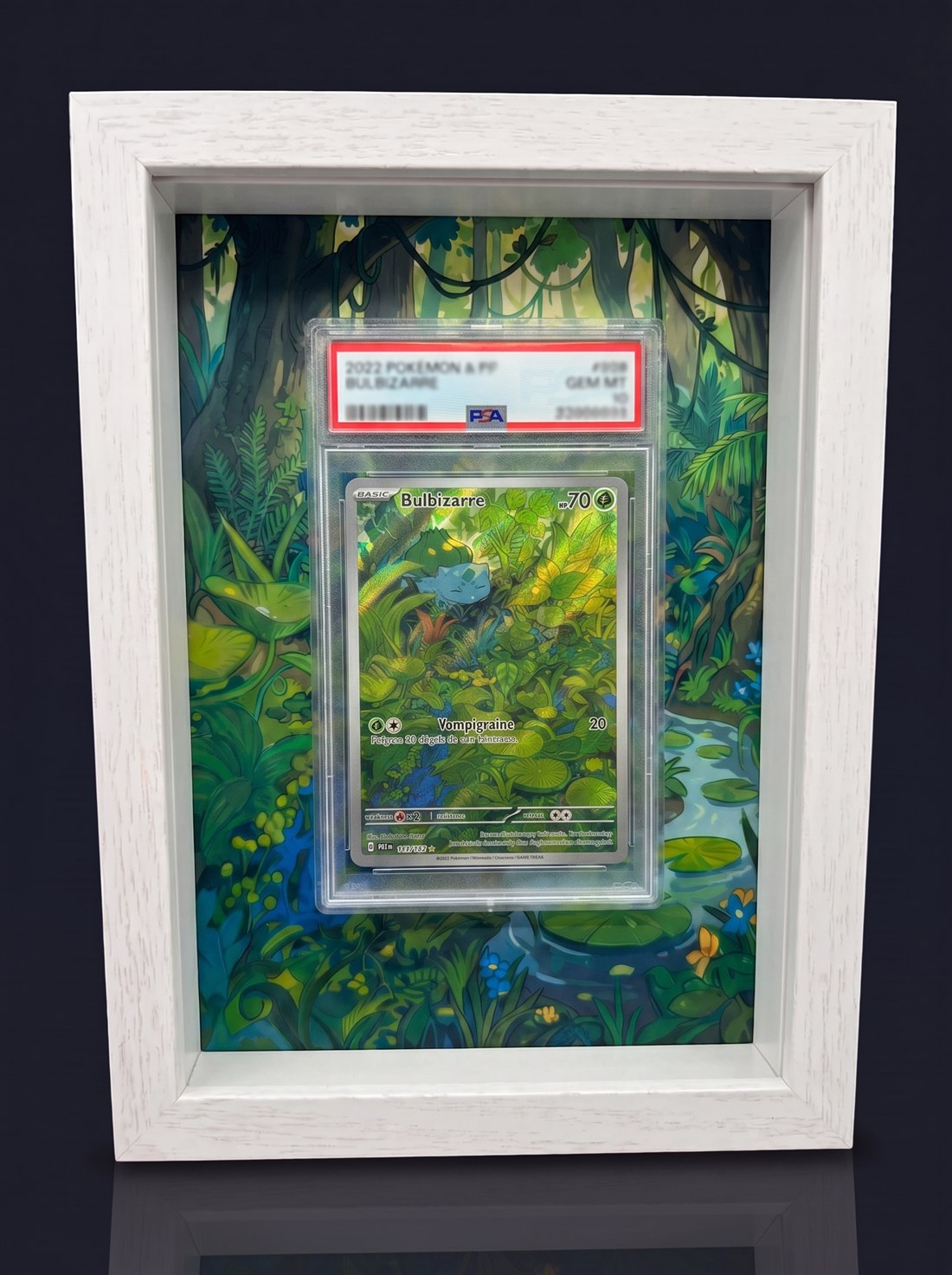 Cadre immersif 13 × 18 cm — Bulbizarre