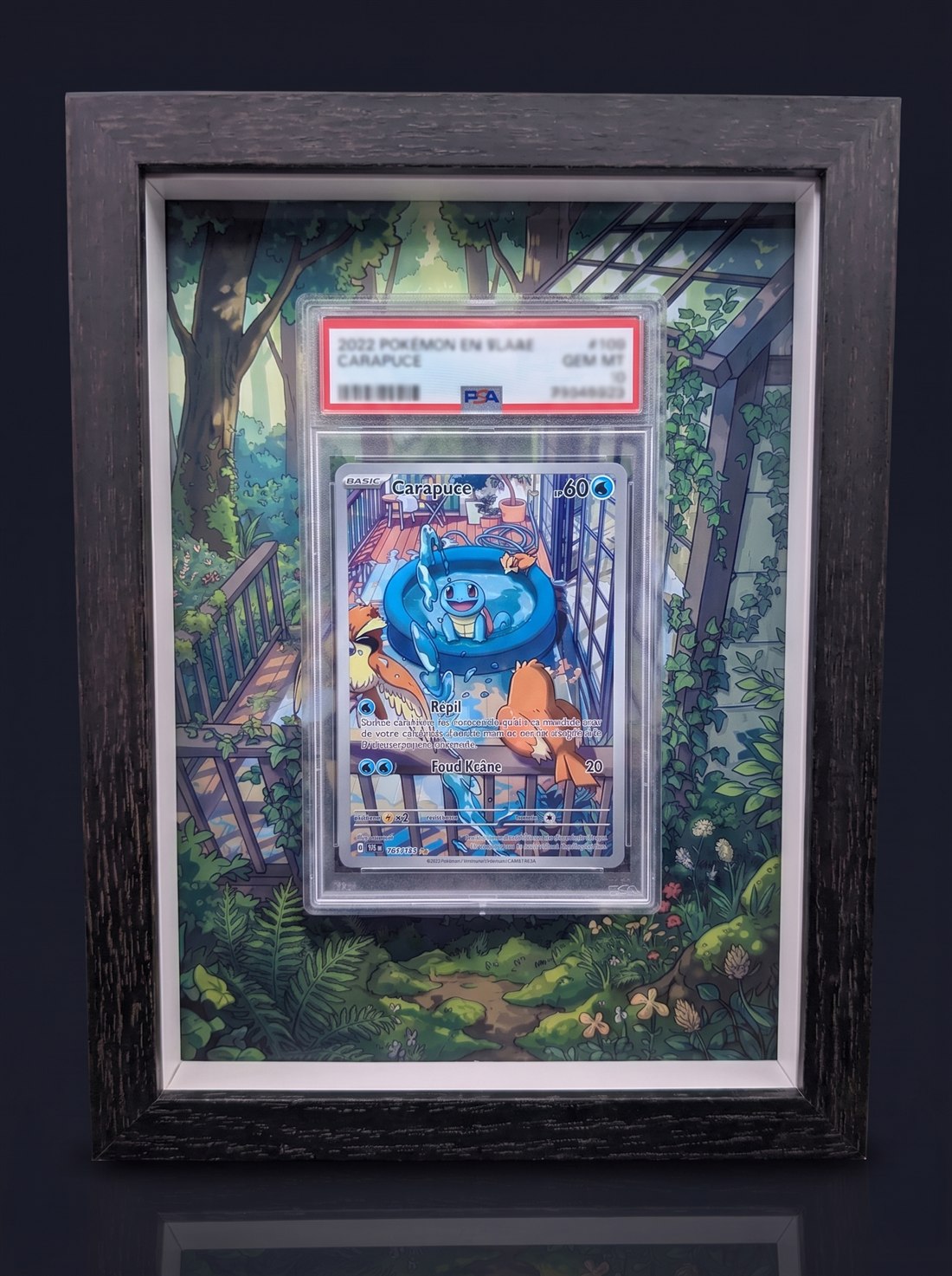 Cadre immersif 13 × 18 cm — Carapuce