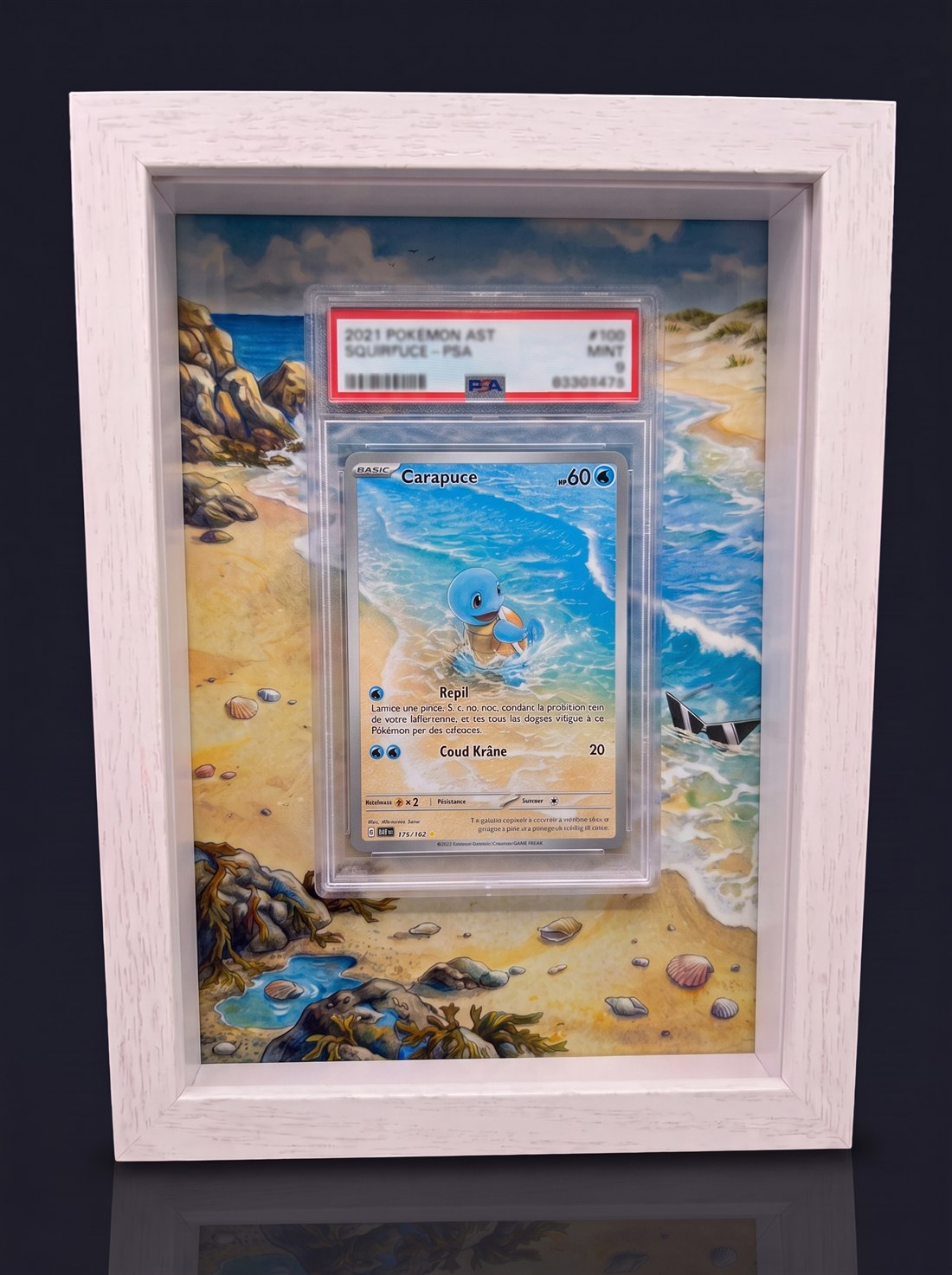 Cadre immersif 13 × 18 cm — Carapuce