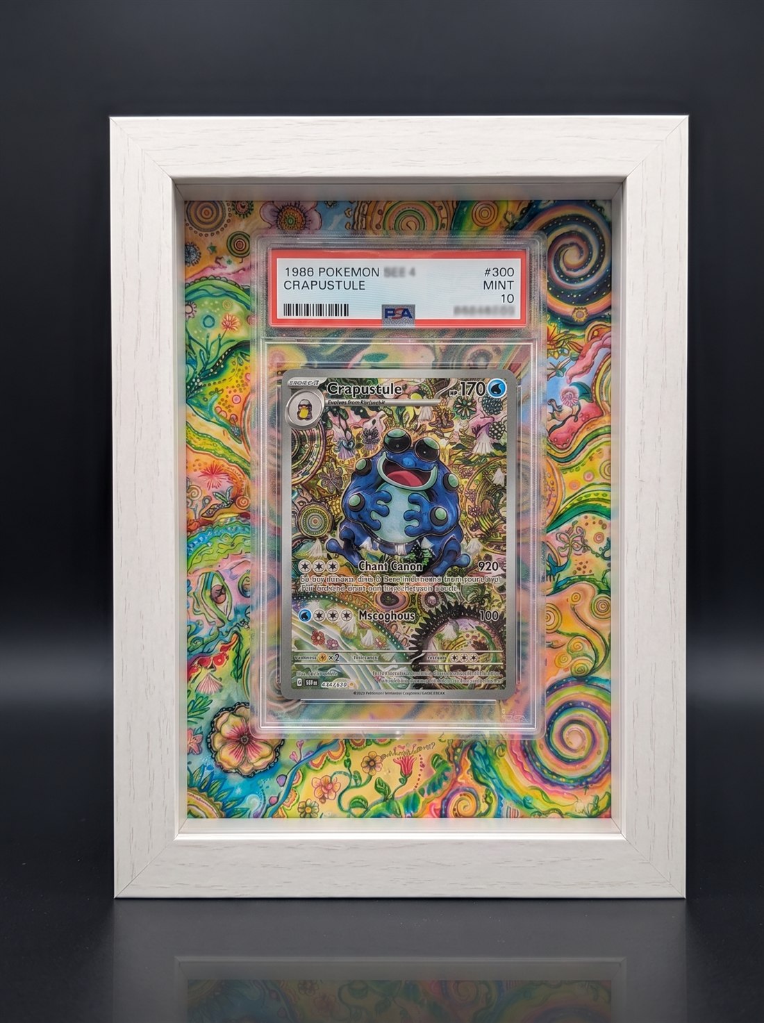 Cadre immersif 13 × 18 cm — Crapustule
