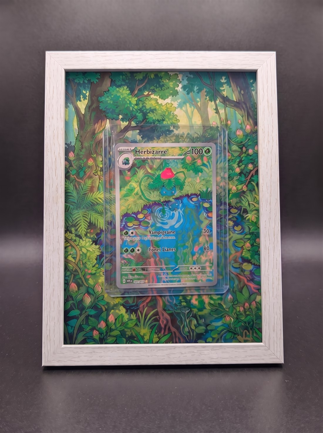Cadre immersif 13 × 18 cm — Herbizarre