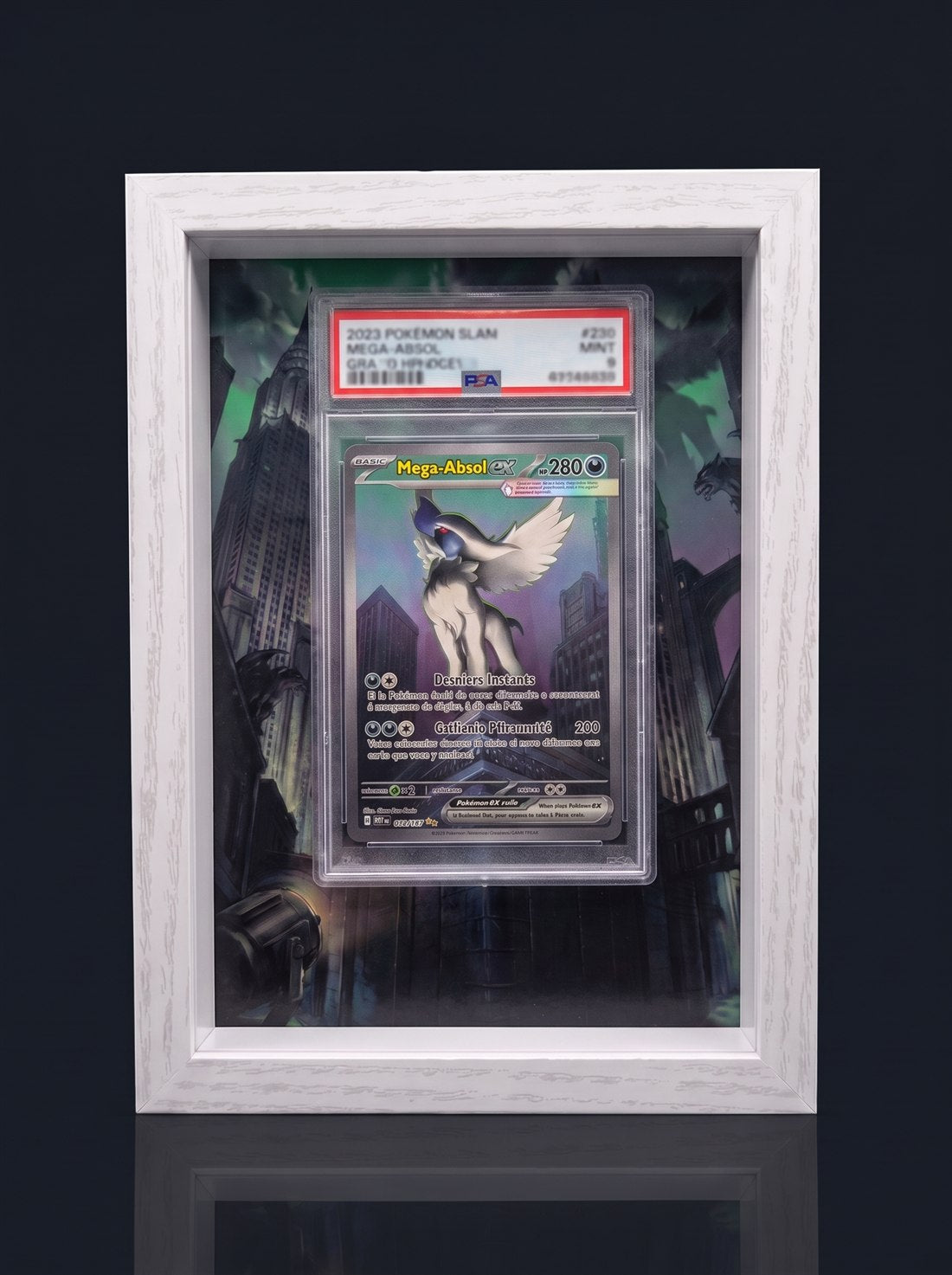 Cadre immersif 13 × 18 cm — Méga-Absol ex