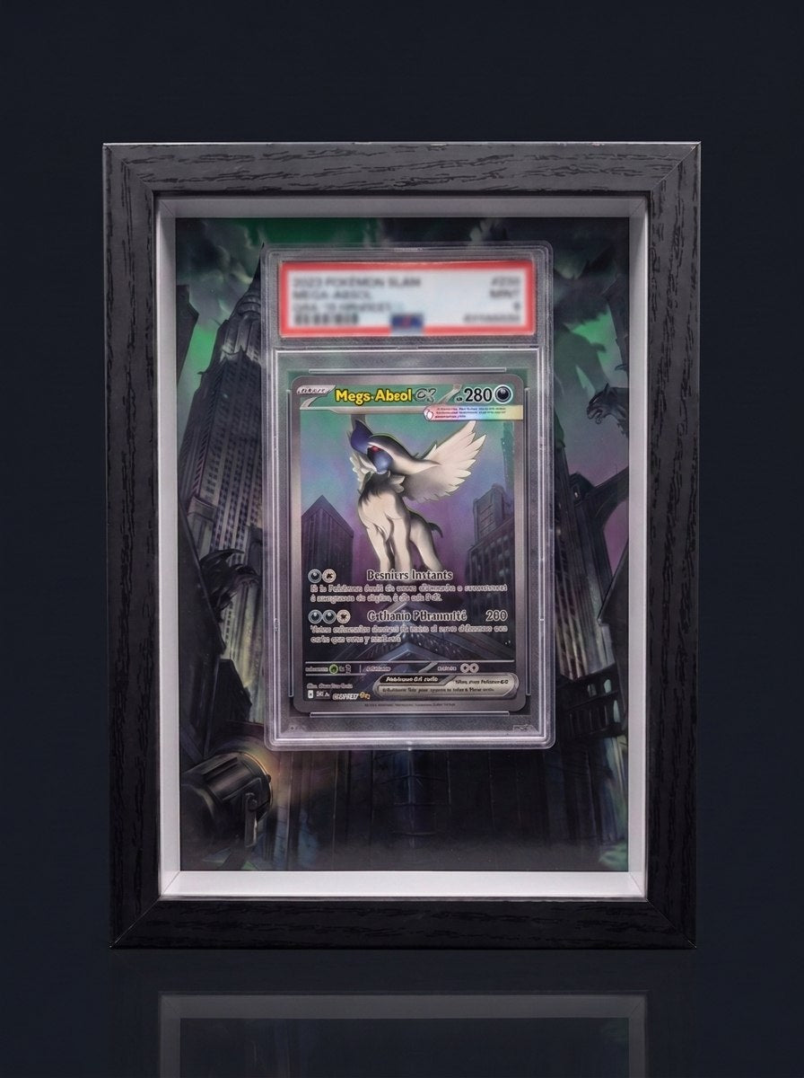 Cadre immersif 13 × 18 cm — Méga-Absol ex