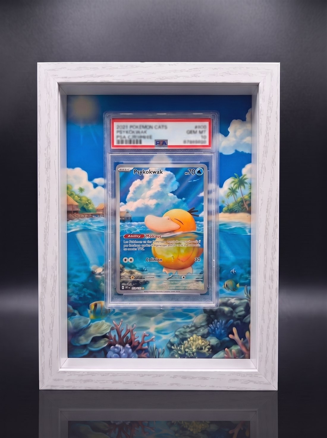 Cadre immersif 13 × 18 cm — Psykokwak