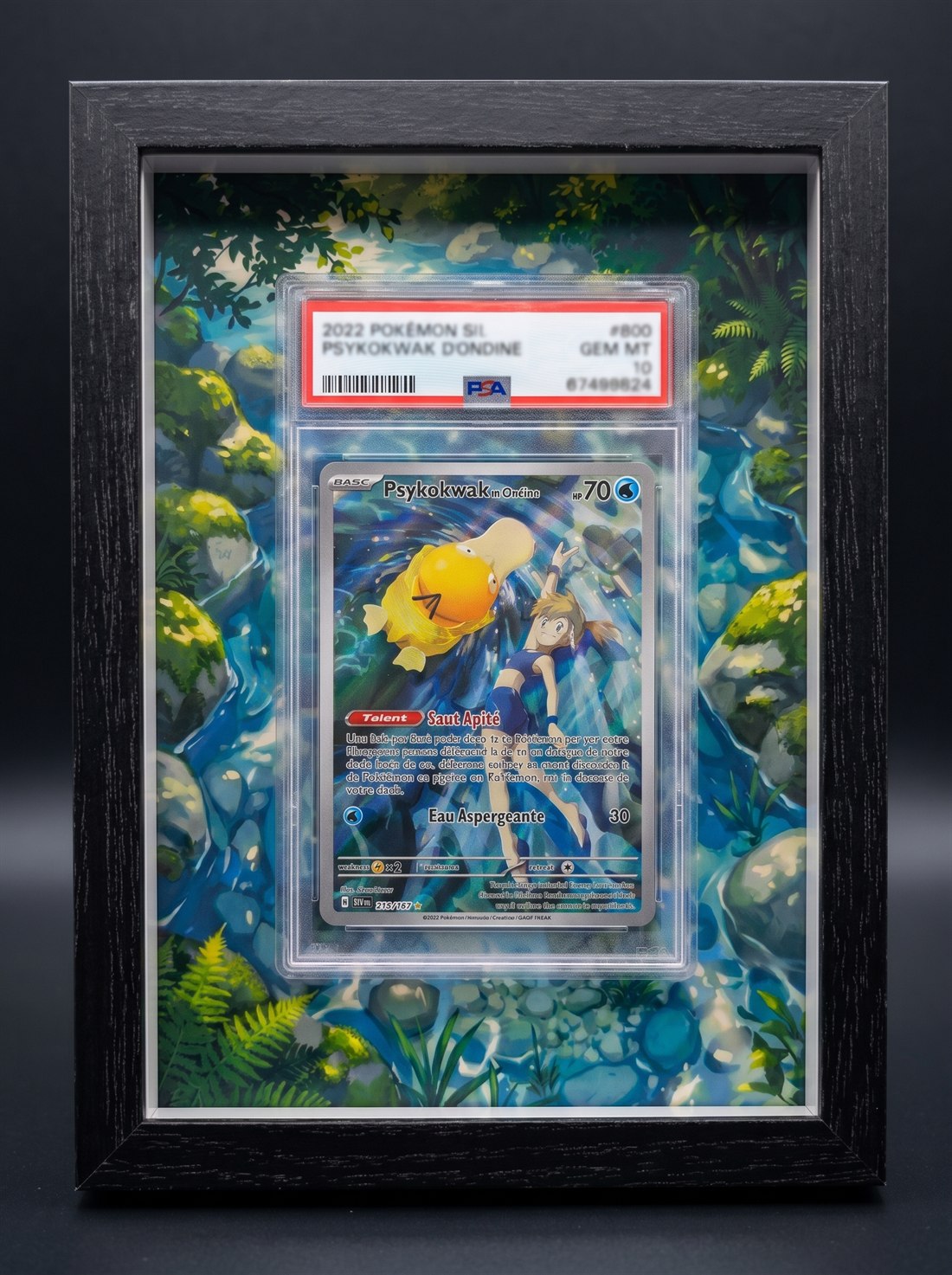 Cadre immersif 13 × 18 cm — Psykokwak d'Ondine