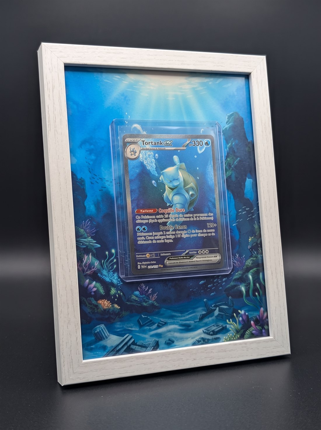 Cadre immersif 13 × 18 cm — Tortank ex