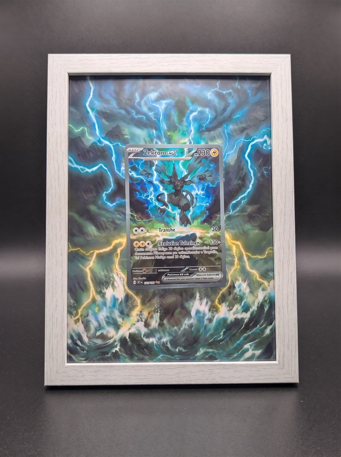 Cadre immersif 13 × 18 cm — Zekrom